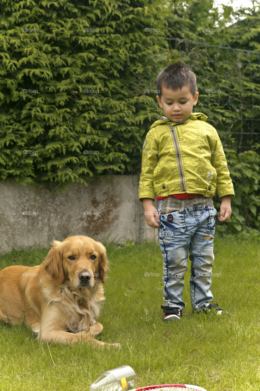 Golden Retriever and young boy. 'Lost' and Thitiwin Dupont