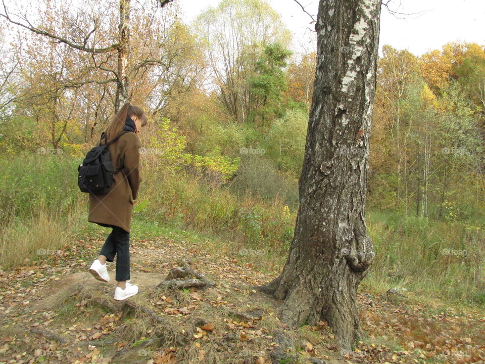 walk in the autumn morning forest. silence and tranquility of nature