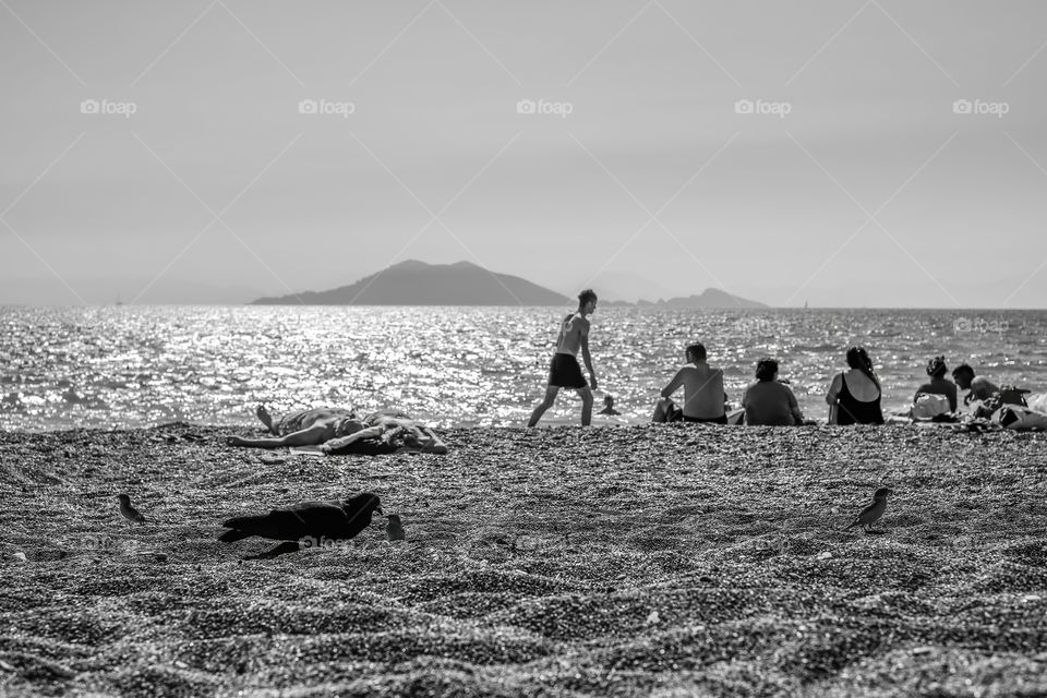 Seaside with people and birds