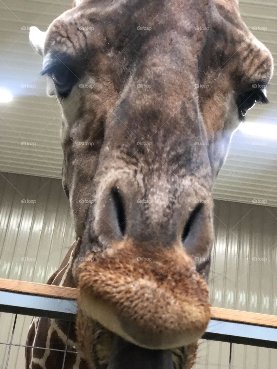 I said No flash photography. 