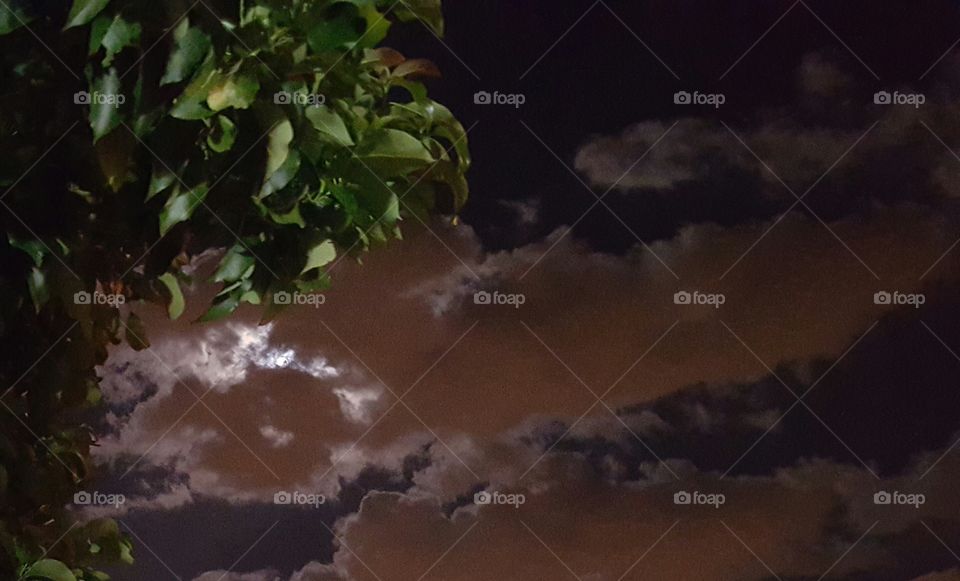 Cloud at night . The moon and clouds 