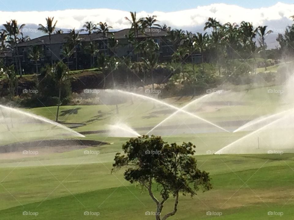 Watering golf course