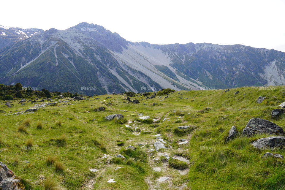 Nature, the mother earth