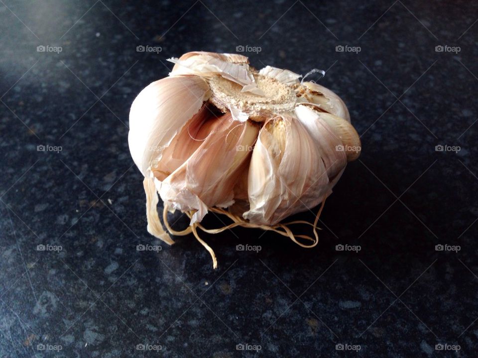Garlic