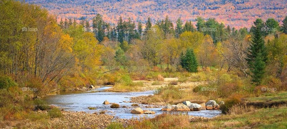 New England Fall