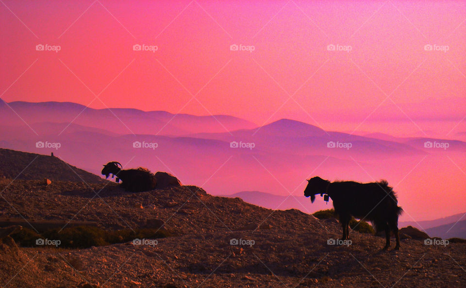 Amorgos