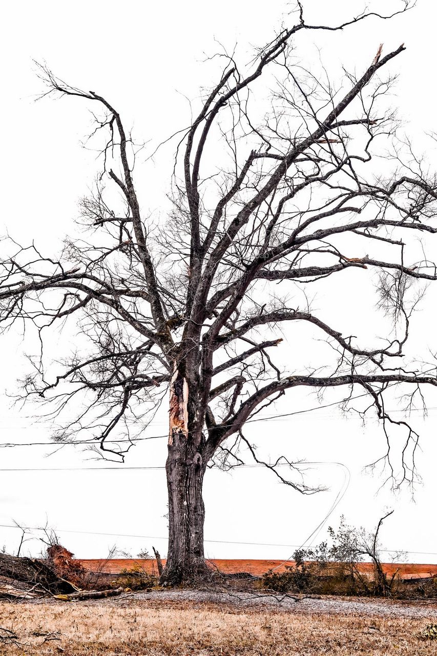 Beautiful destruction