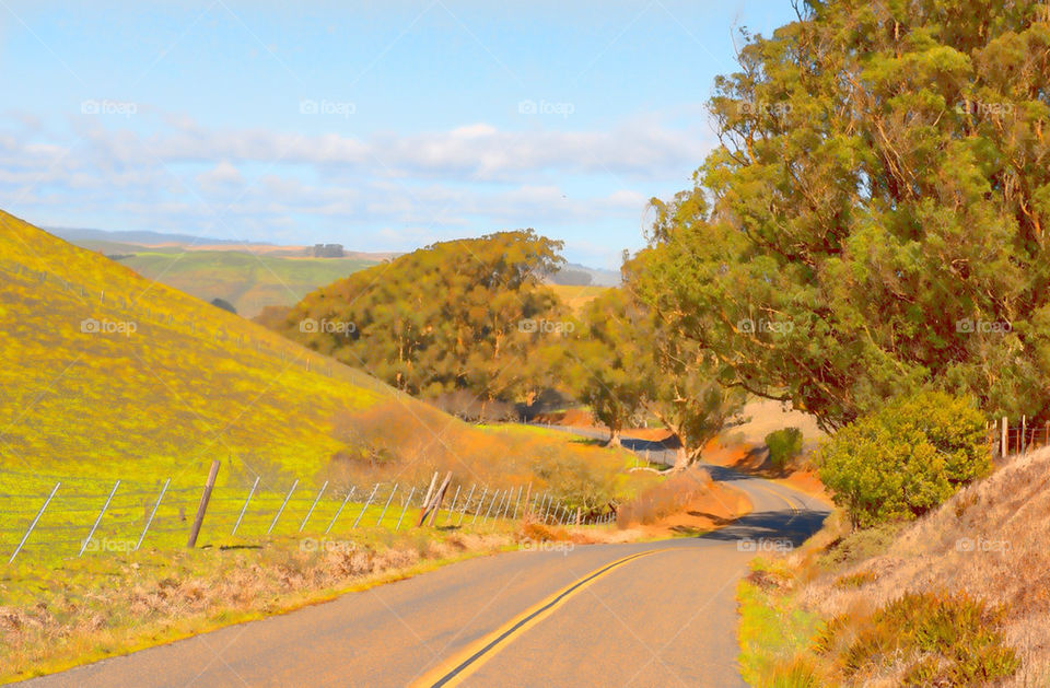 Country road near Dillon Beach, Marin County, California