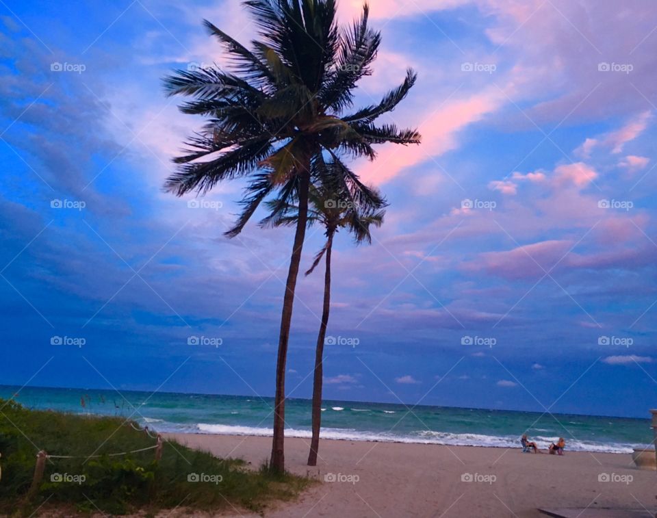 Miami beach sunset and scenery