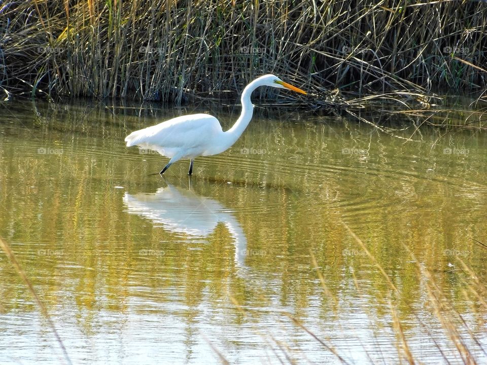 Silver Sands State Park