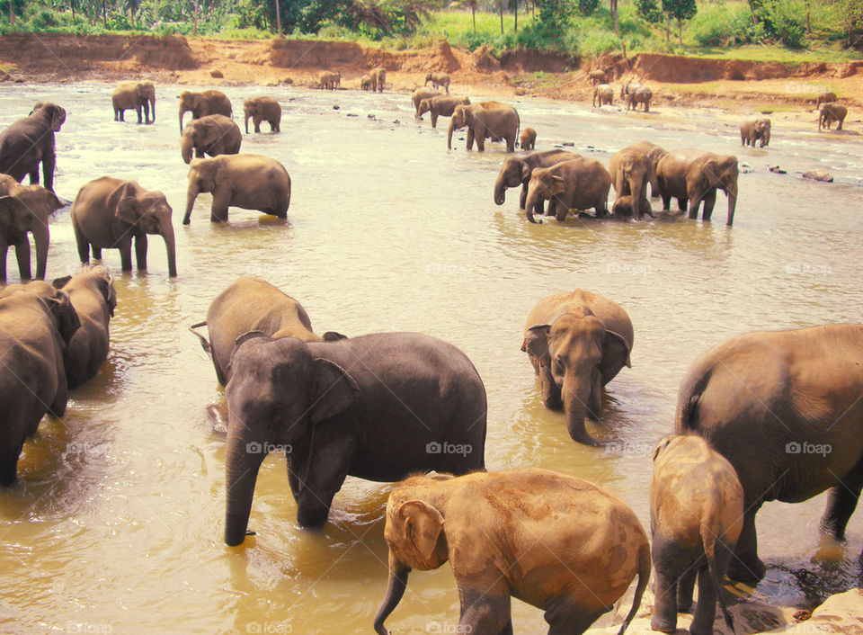 Sri Lanka