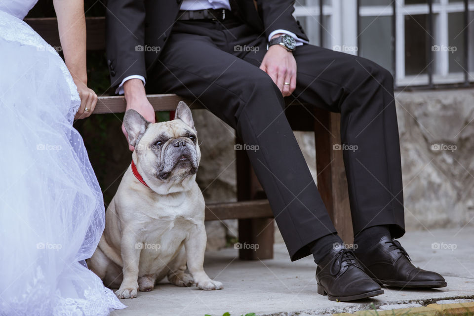 Low section of a groom and bride sitting on bench with dog