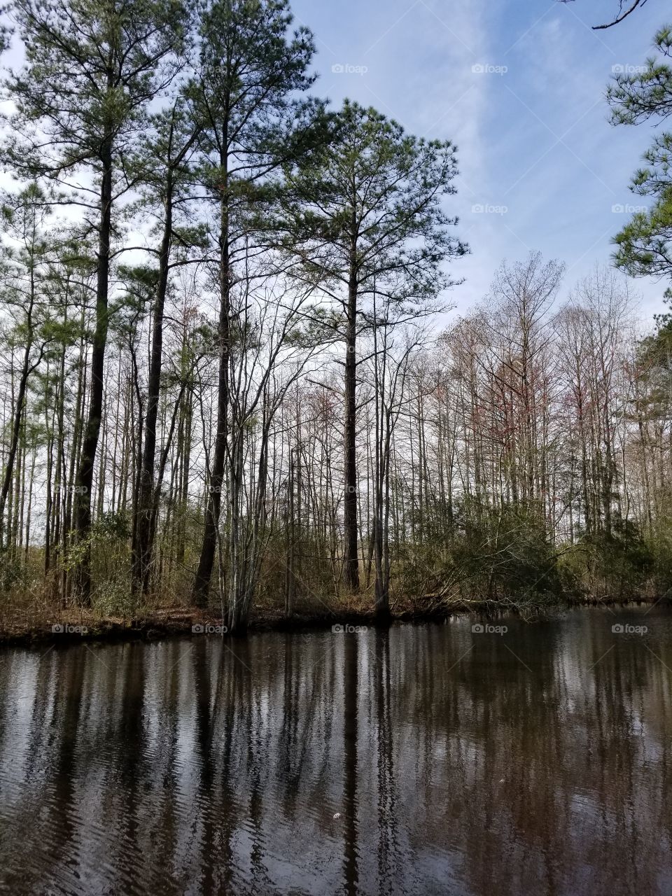 North Carolina Wildlife Waterway Fishing with the Pines