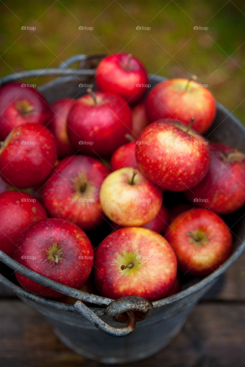 Red Apples 