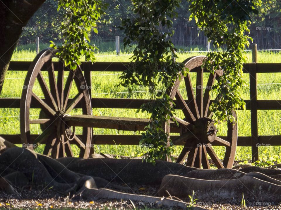 Old wheels