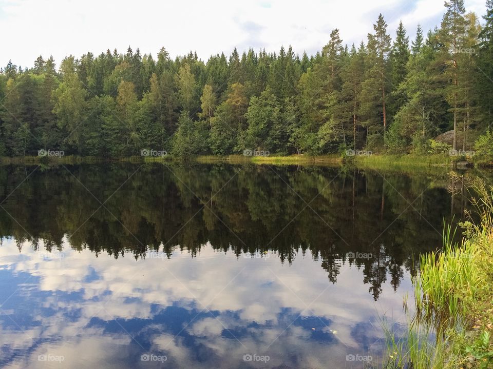 Reflection of forest and clouds on water