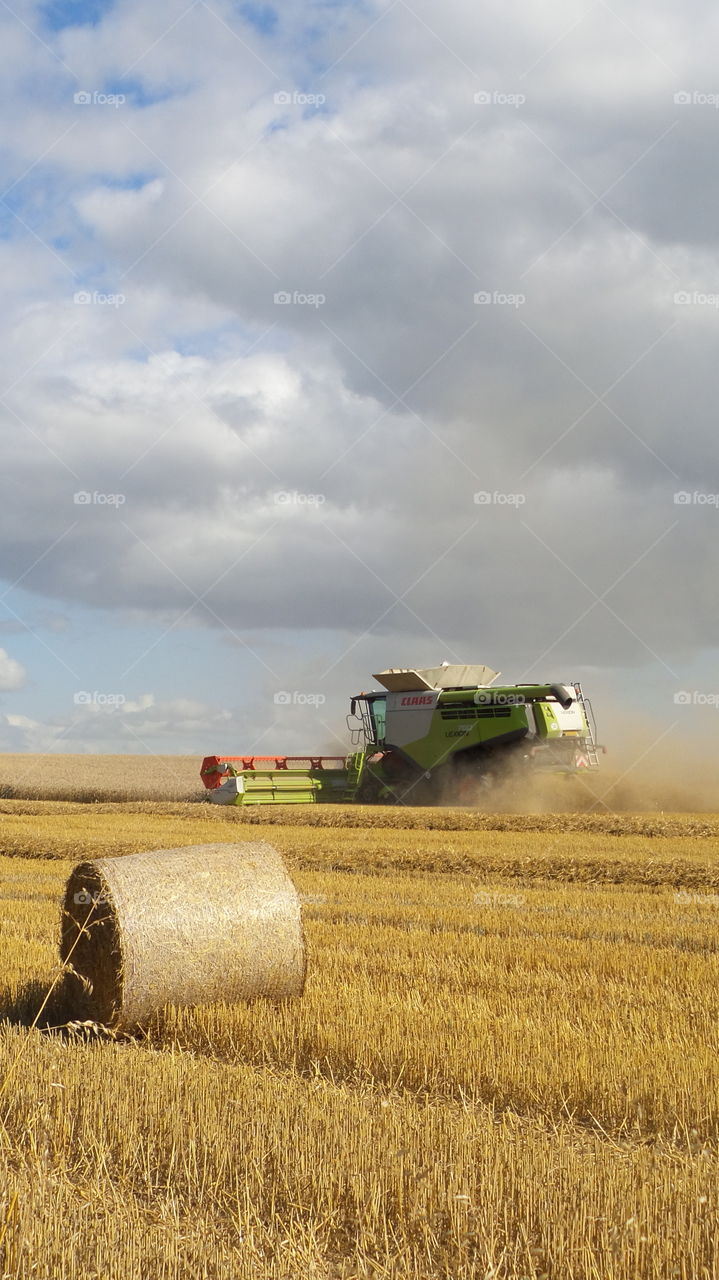 Harvest. Harvester field