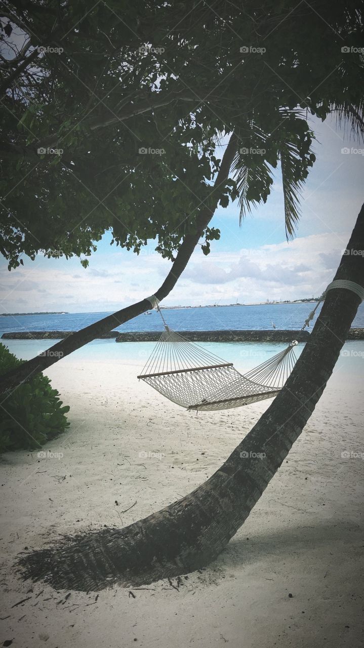 beautiful beach of maldives  . 