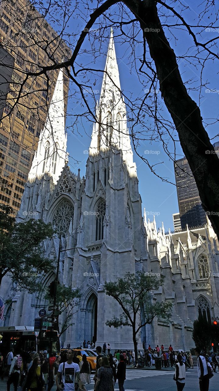 St. Patrick's Cathedral 
New York city...