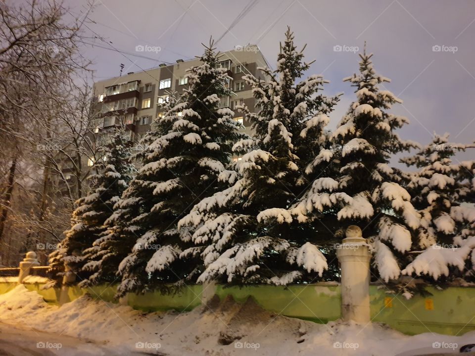 Winter fairy tale, winter, snow, evening Moscow, beautiful trees, trees in the snow