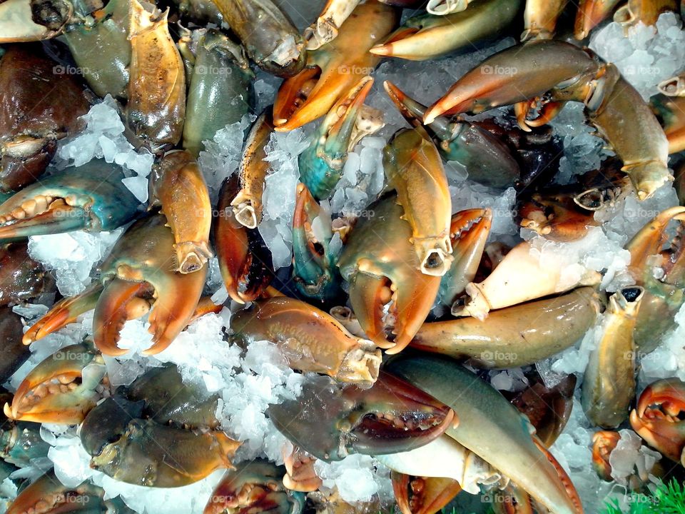 crab claws or crab pincers. crab claws or crab pincers sold at a supermarket