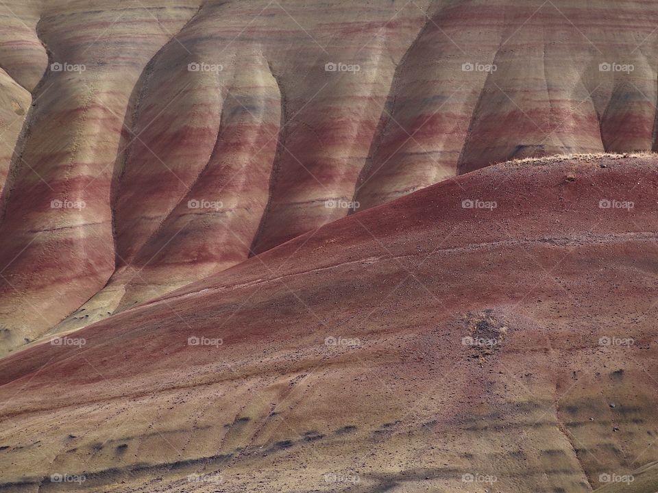 The incredible beauty of the red, gold, and browns of the textured Painted Hills in Eastern Oregon on a bright sunny day.