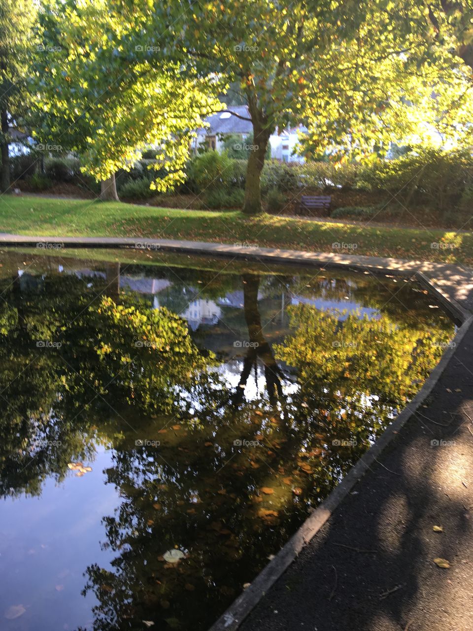 A stunning afternoon in Bicclescombe Park in Ilfracombe, North Devon. Autumn is here, sunshine is out and the clear reflections bring clarity to the day. 