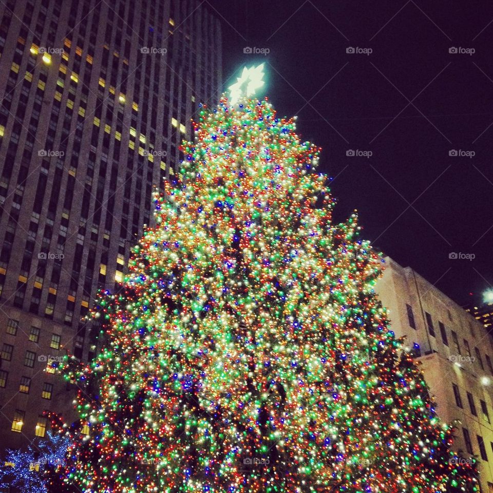 Rock Center Tree 2013