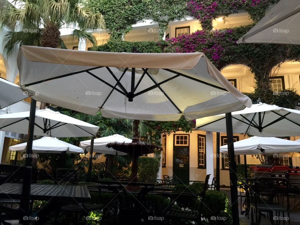 Hotel patio. Cape Town hotel. Cool little patio covered with umbrellas and plants...