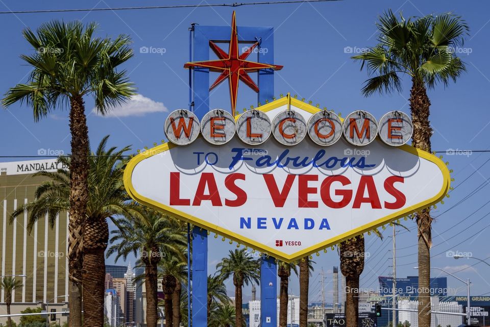 Vacation, Travel, Palm, Hotel, Tourism