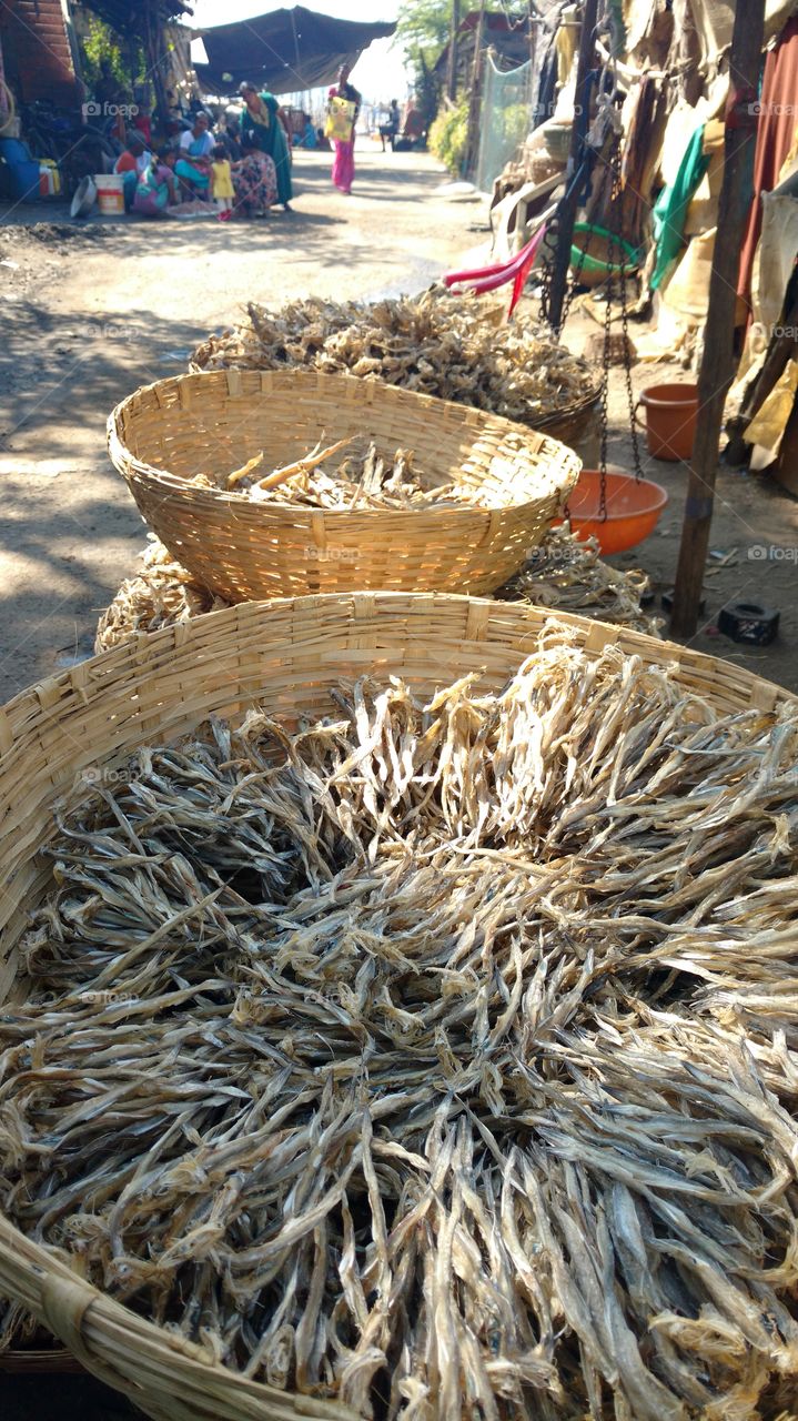 Bombay Ducks - rare fish available in mumbai India, this is traditional method to dry it and export to other countries