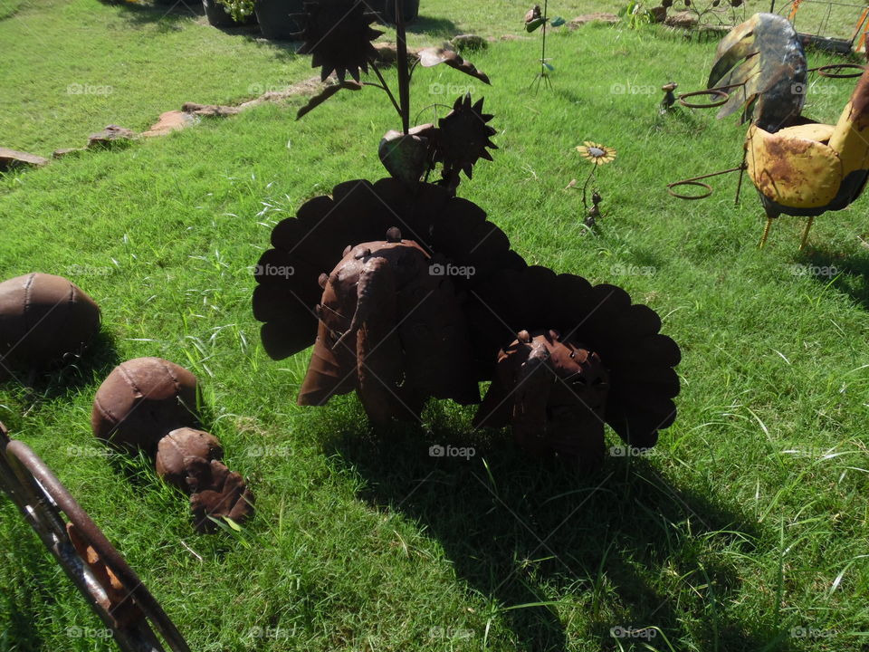 steel turkey 🍗. This is a picture of a garden at a local nursery near Jacksboro Texas