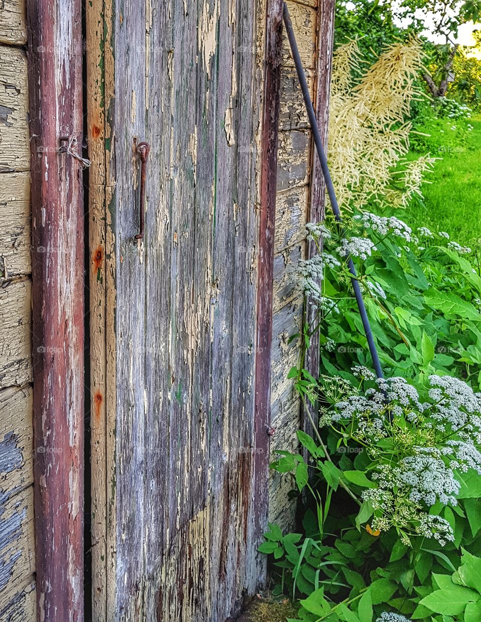 Old door