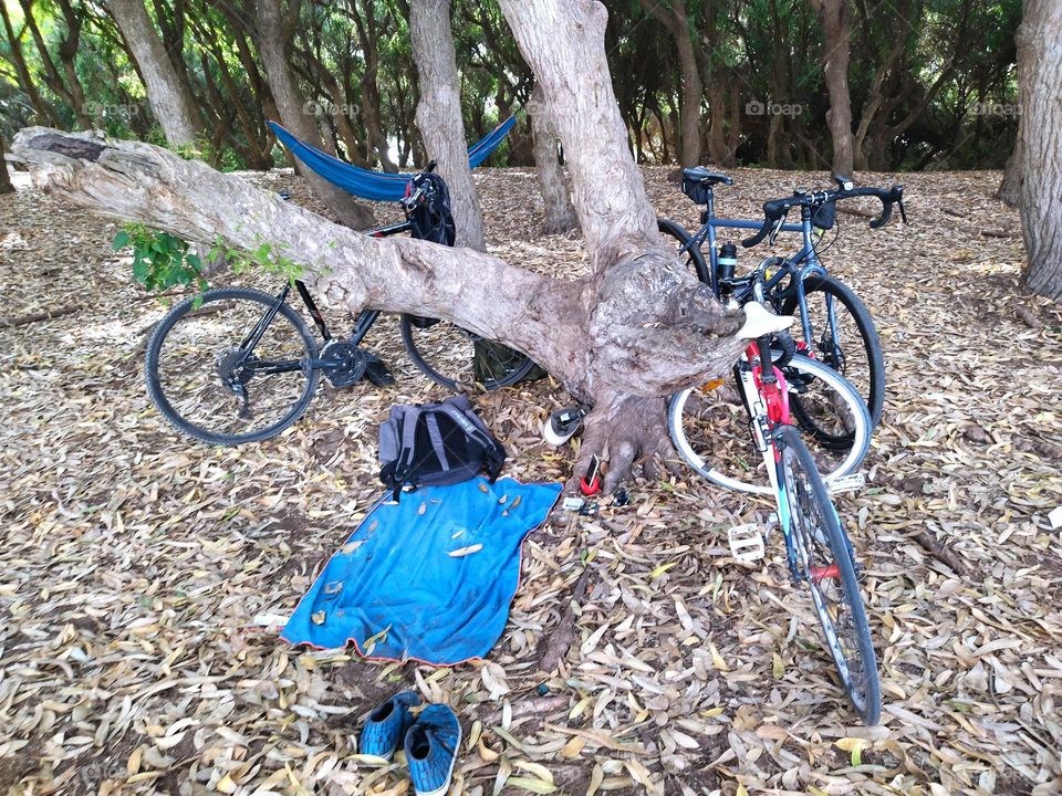 Bikes and picnic in a forest