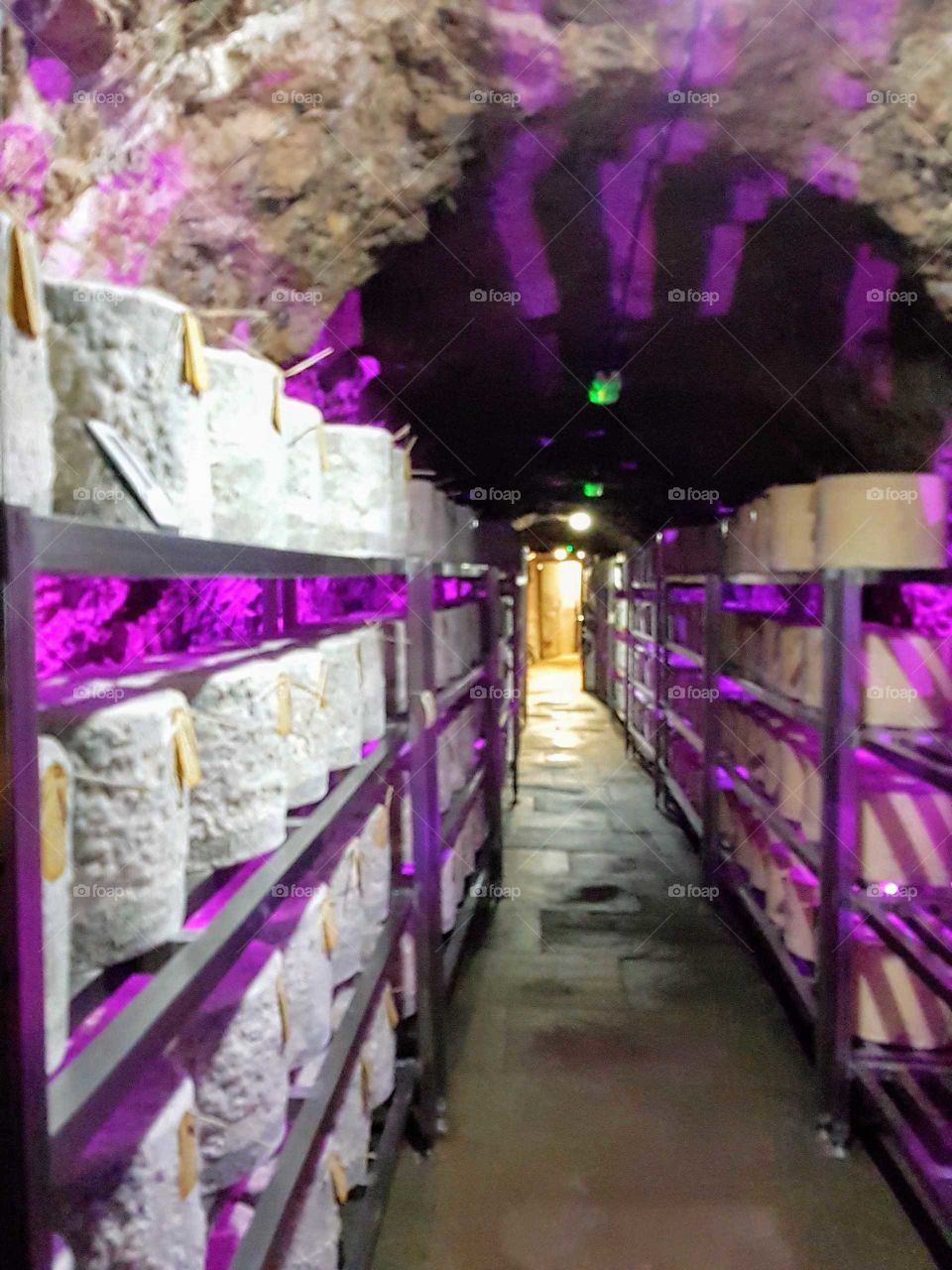 cheese matured in caves