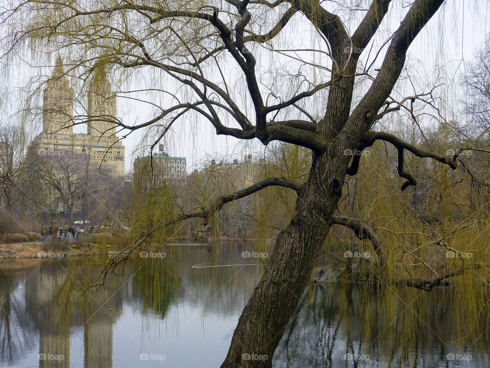 ny central park reflection