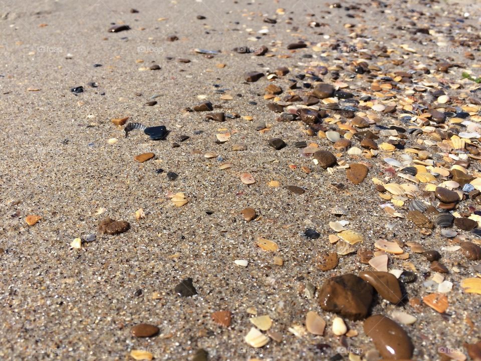 Beach with shells and stones