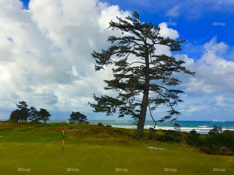 Bandon Dunes Golf