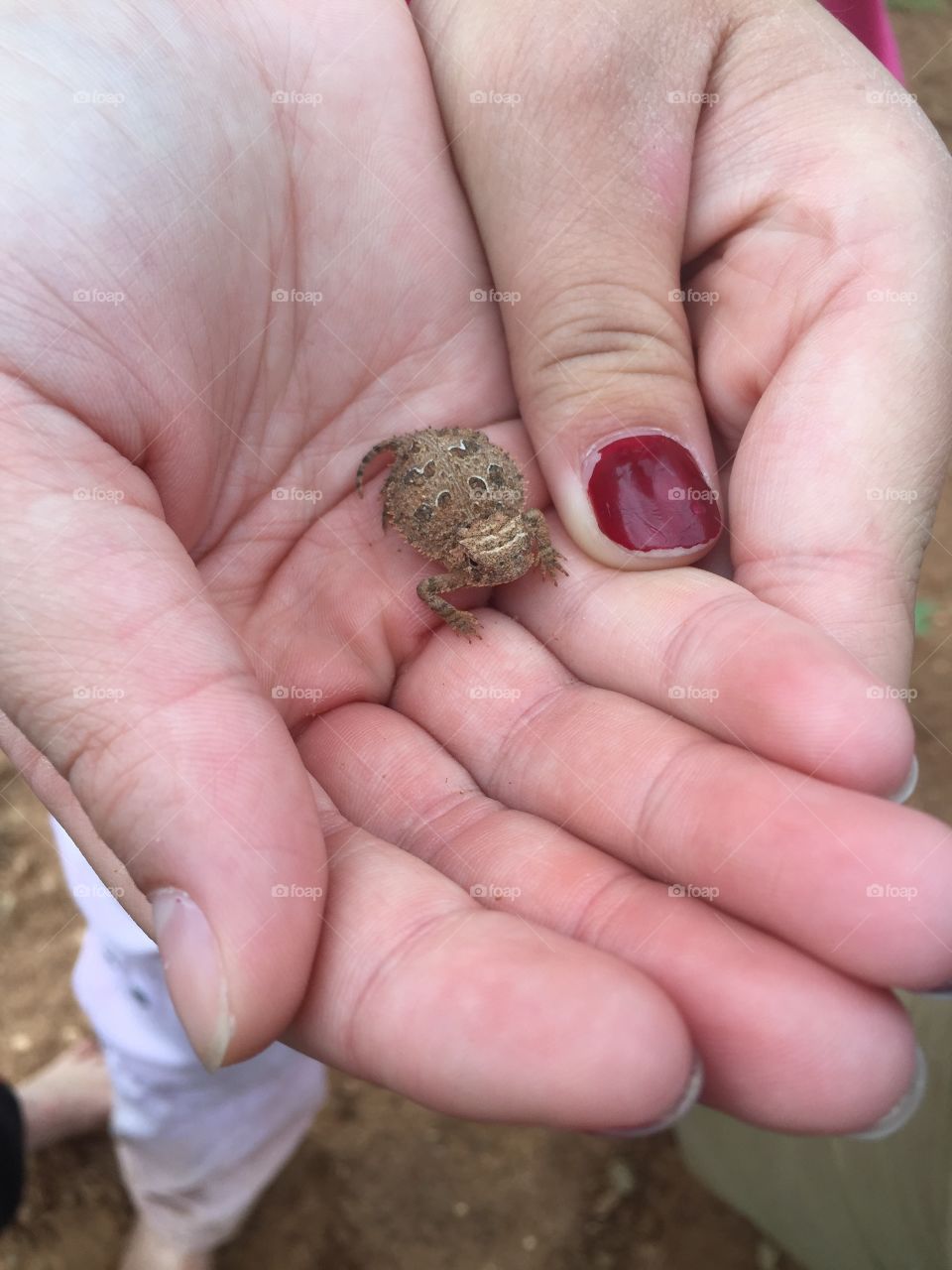 Nature, Hand, Closeup, Agriculture, No Person