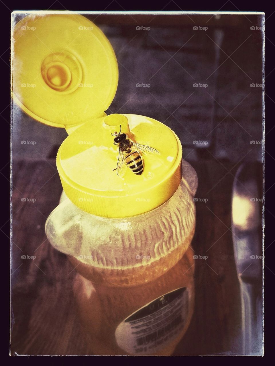 Honey bee and honey bear