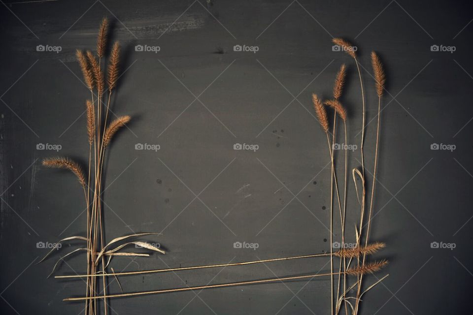 Dry grass on black background