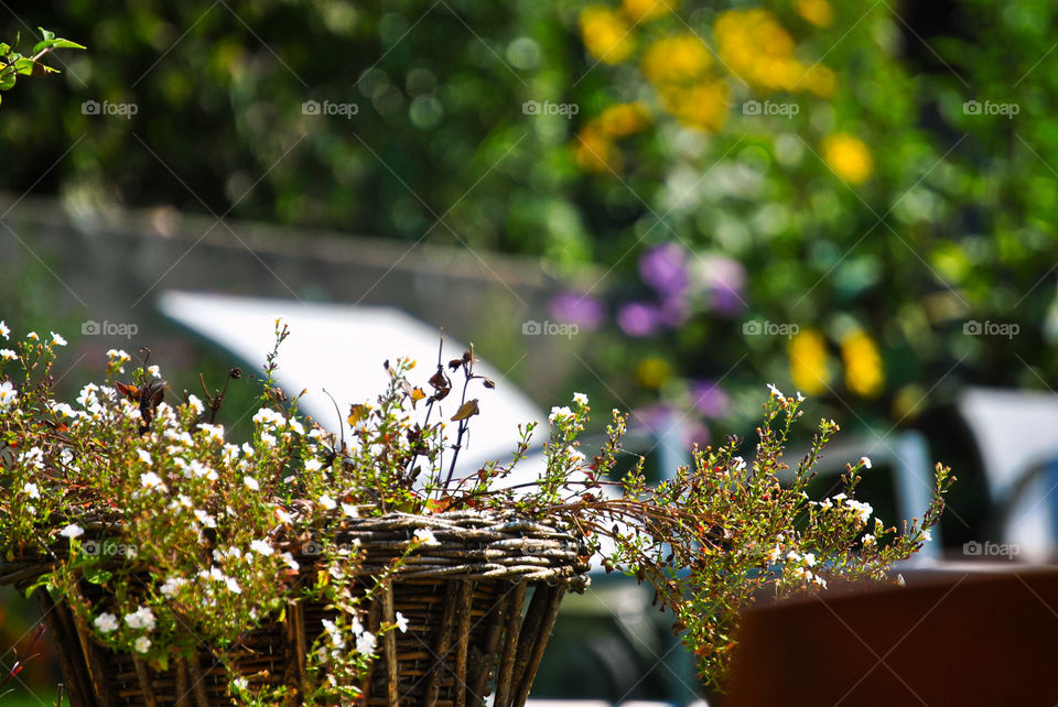 Exploring Switzerland