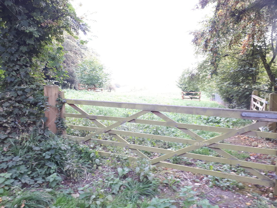 Countryside Gate