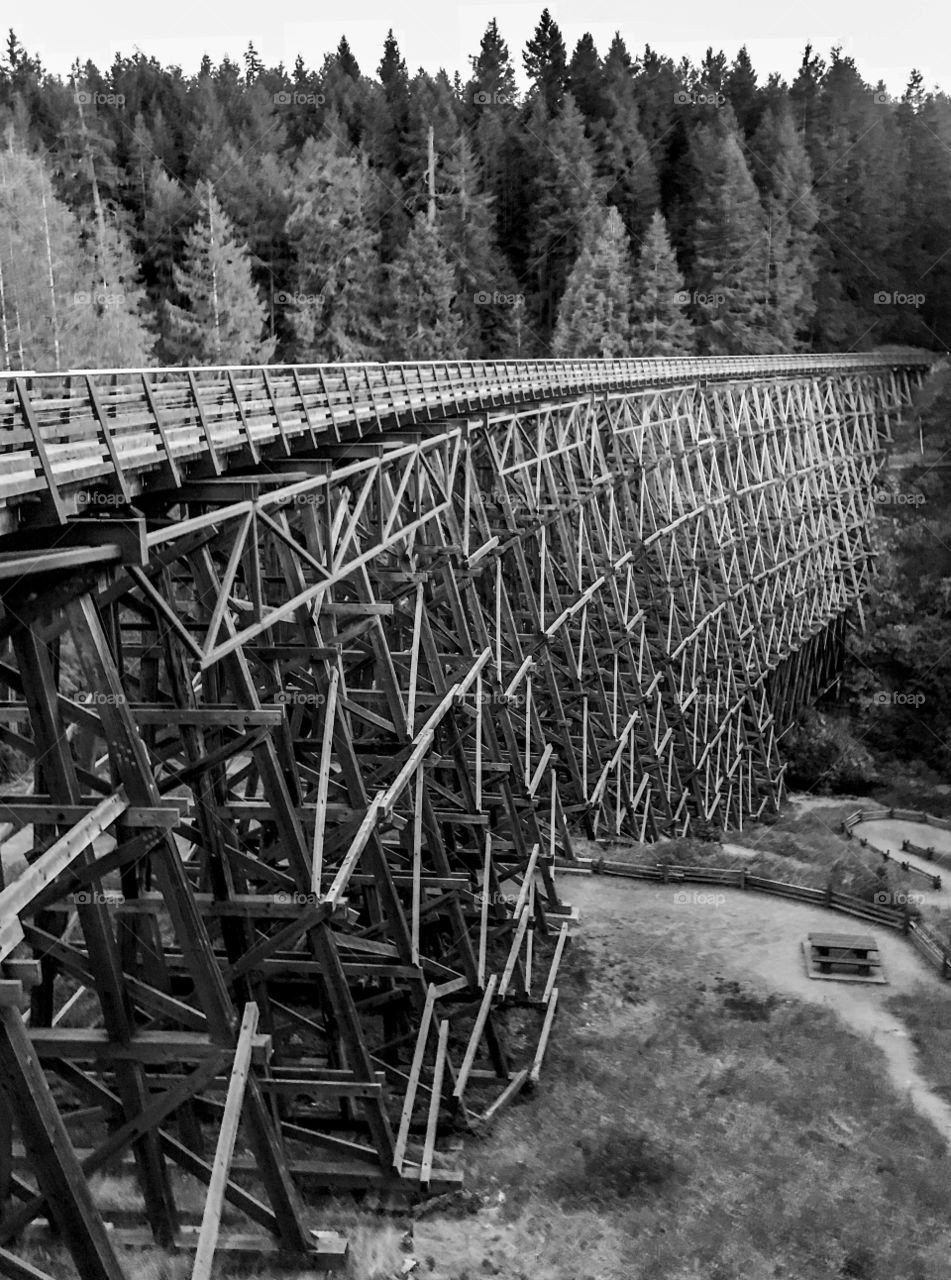 The historic Kinsol Trestle crosses river canyon 