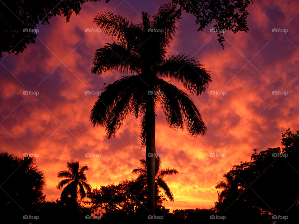 A fiery sunset in South Florida