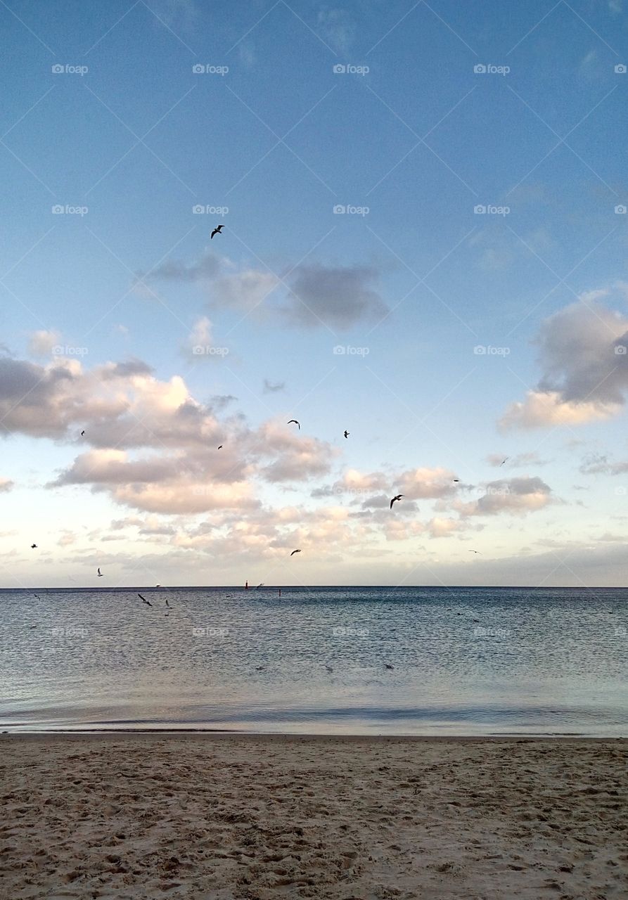 Beach, Sea, Water, Ocean, Landscape