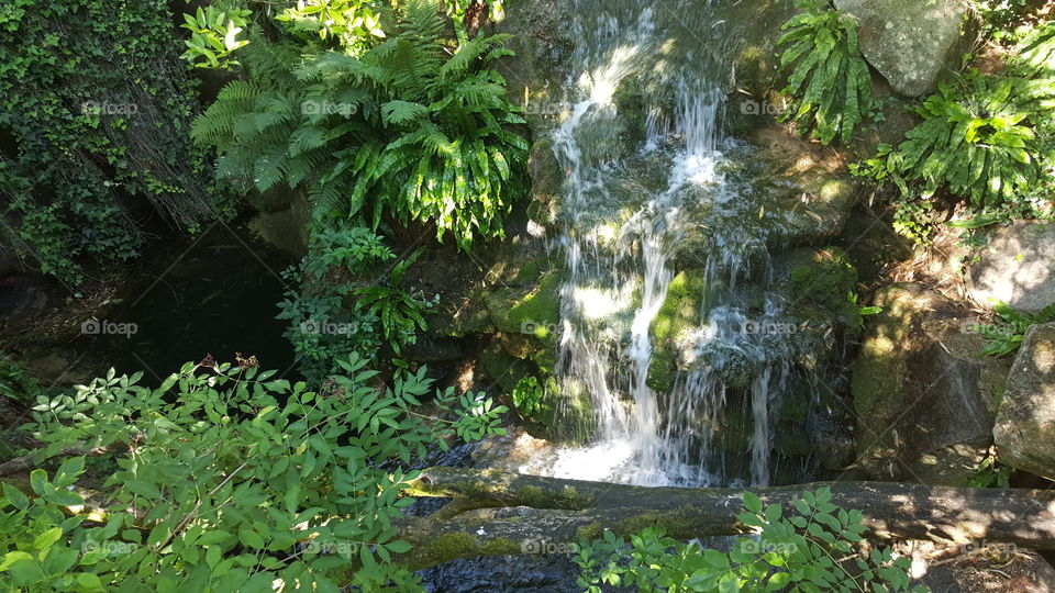 Water, Waterfall, Nature, Stream, No Person