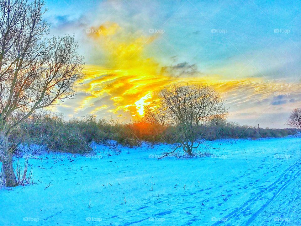 Winther at the Beach in Denmark ...