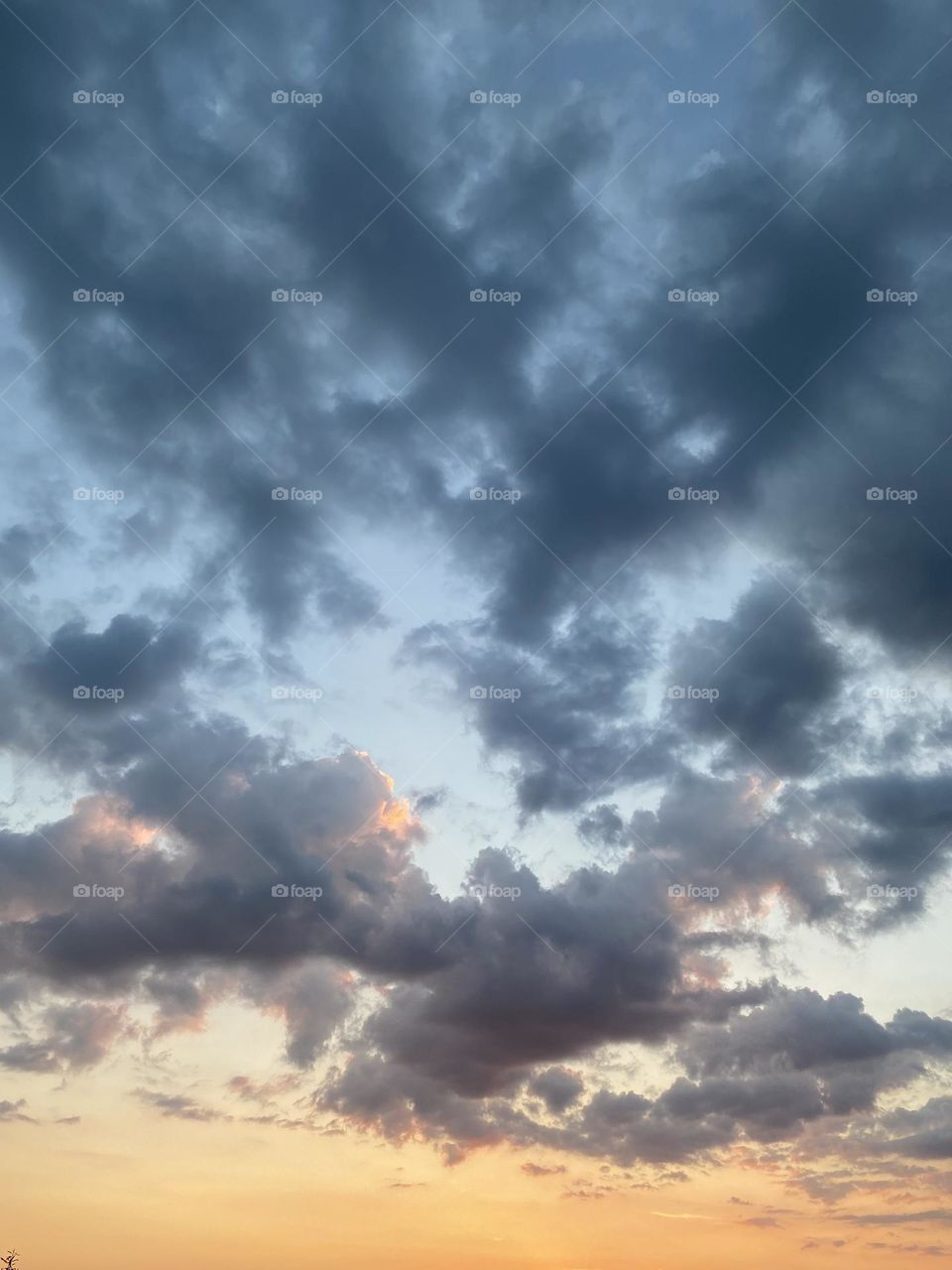 Summer in the city with sky