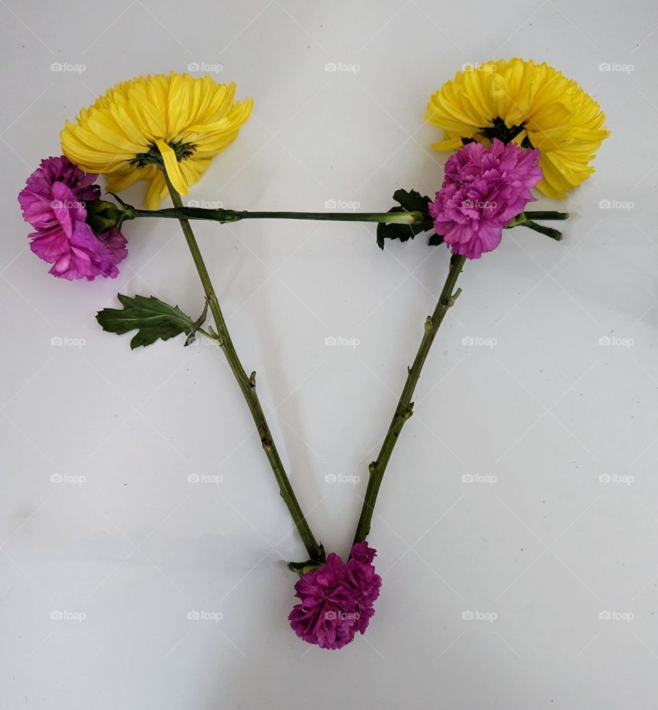 Geometry series: Triangle